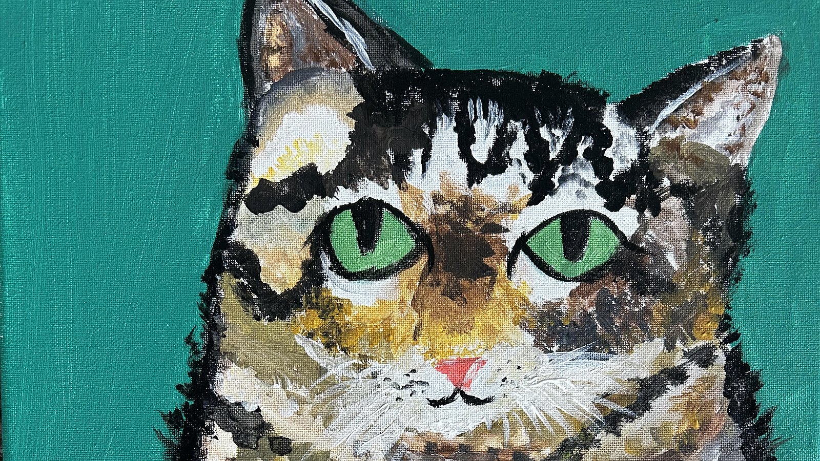 All Things Soft and Furry