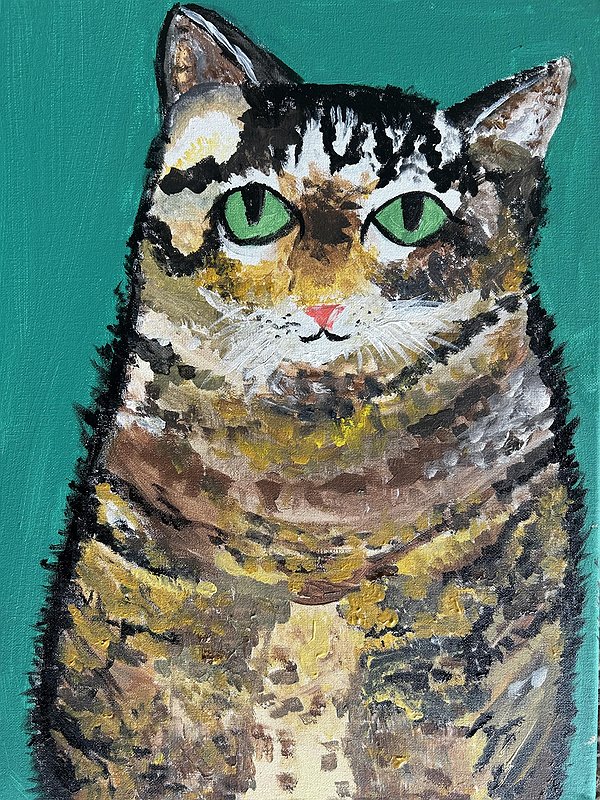 All Things Soft and Furry